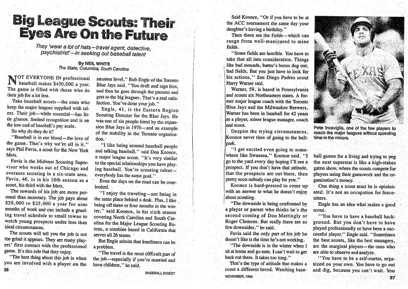 BDScouts